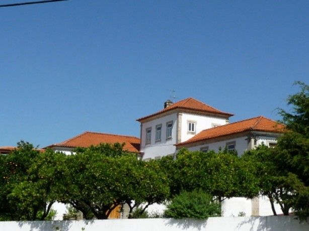 Foto 4 de Quinta de Tourais