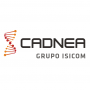 Logo CADNEA - Representante SOLIDWORKS e SolidCAM