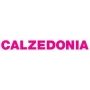 Logo Calzedonia, Parque Atlântico