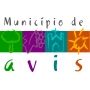 Município de Avis