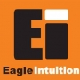 Logo Centro de Formação Eagle Intuition