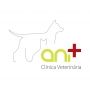Logo Clínica Veterinária Ani+ (Paula Magalhães - Veterinária, Unipessoal, Lda.)