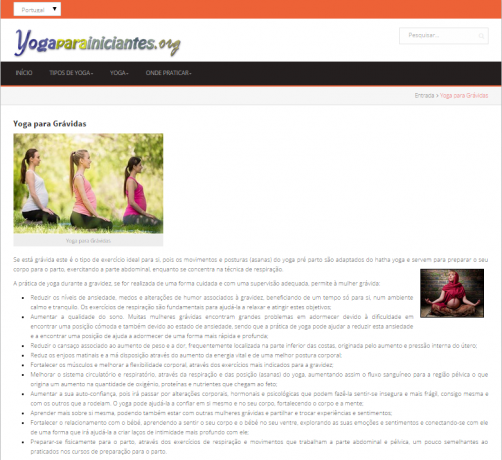 Foto 2 de Yoga para Iniciantes - Portal Online sobre Yoga