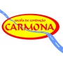 Logo Escola de Condução Carmona
