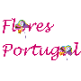 Flores Portugal