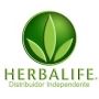 Daniel Nunes - Distribuidor Independente Herbalife