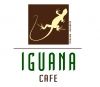 Iguana cafe