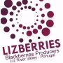 Lizberries - Produtores de Amoras do Vale do Liz, Lda