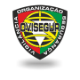 Logo Ovisegur- Vigilançia e Segurança