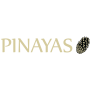 Logo Pinhão Pinayas
