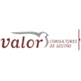 Logo Valor - Consultores de Empresas