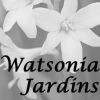 Logo Watsonia Jardins